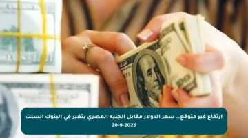 ارتفاع غير متوقع.. سعر الدولار مقابل الجنيه المصري يتغير في البنوك السبت 20-9-2025